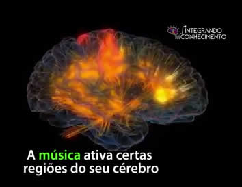 Música no Cérebro